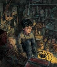 Độc giả Việt phấn khích với Harry Potter phiên bản minh họa