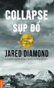 Sụp Đổ: Các Xã Hội Đã Thất Bại Hay Thành Công Như Thế Nào - Jared Diamond