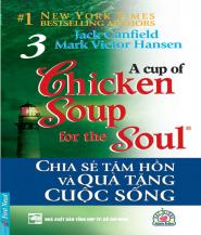 Chicken Soup for The Soul 3 - Jack Canfiel & Mark Victor Hansen.