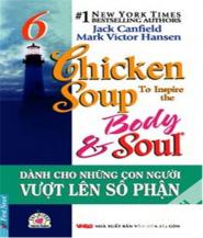 Chicken Soup for The Soul 6 - Jack Canfiel & Mark Victor Hansen