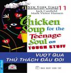 Chicken Soup for The Soul 11 - Jack Canfiel & Mark Victor Hansen