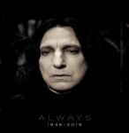 J. K. Rowling xin lỗi người hâm mộ về cái chết của Severus Snape