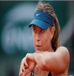 Maria Sharapova, Serena Williams cãi vã vì tự truyện